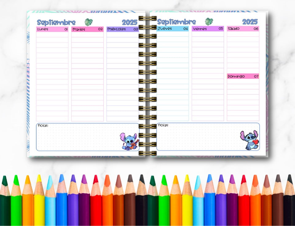 Doc. Agenda Docente - Stich