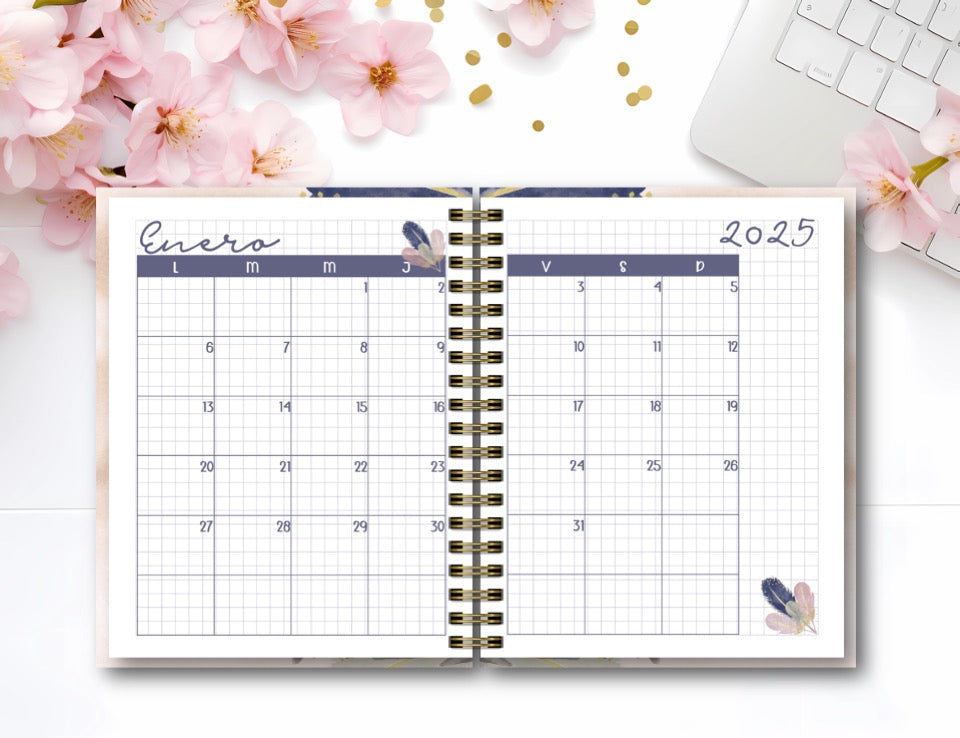 Agenda Feathers X.