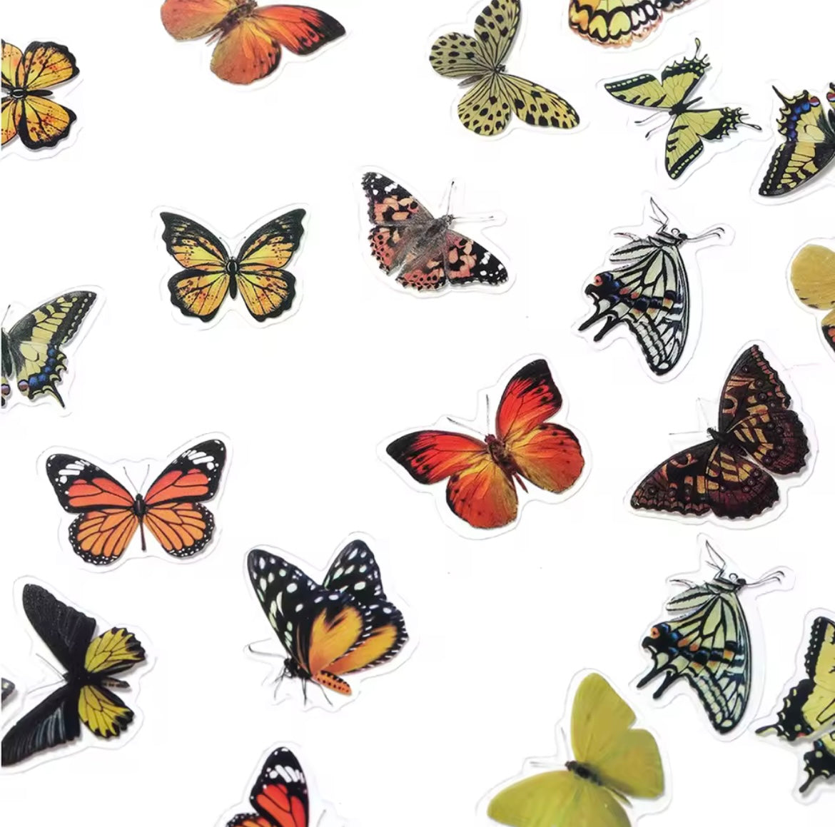 St. Stickers "The World Of Butterflies"