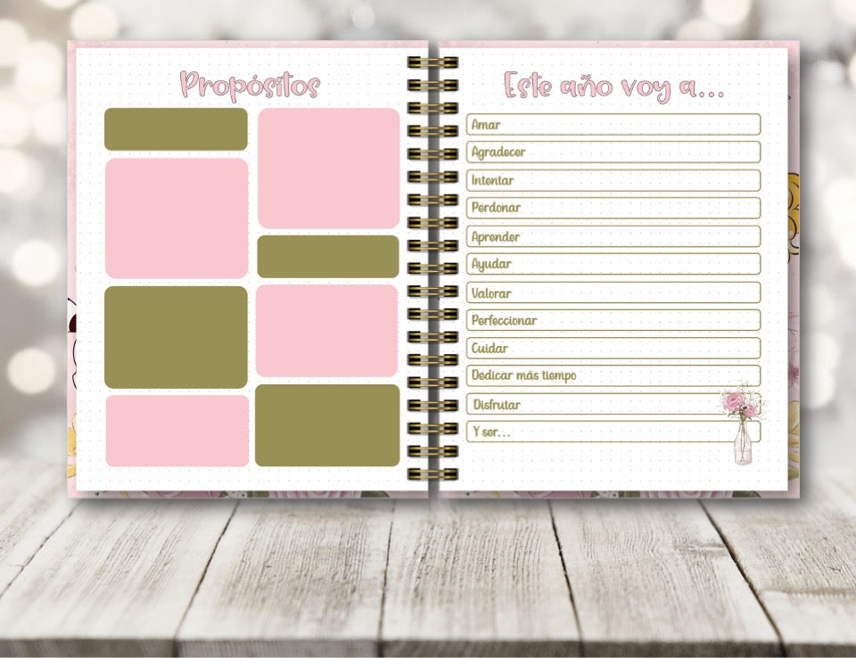 Agenda Candy Candy S.