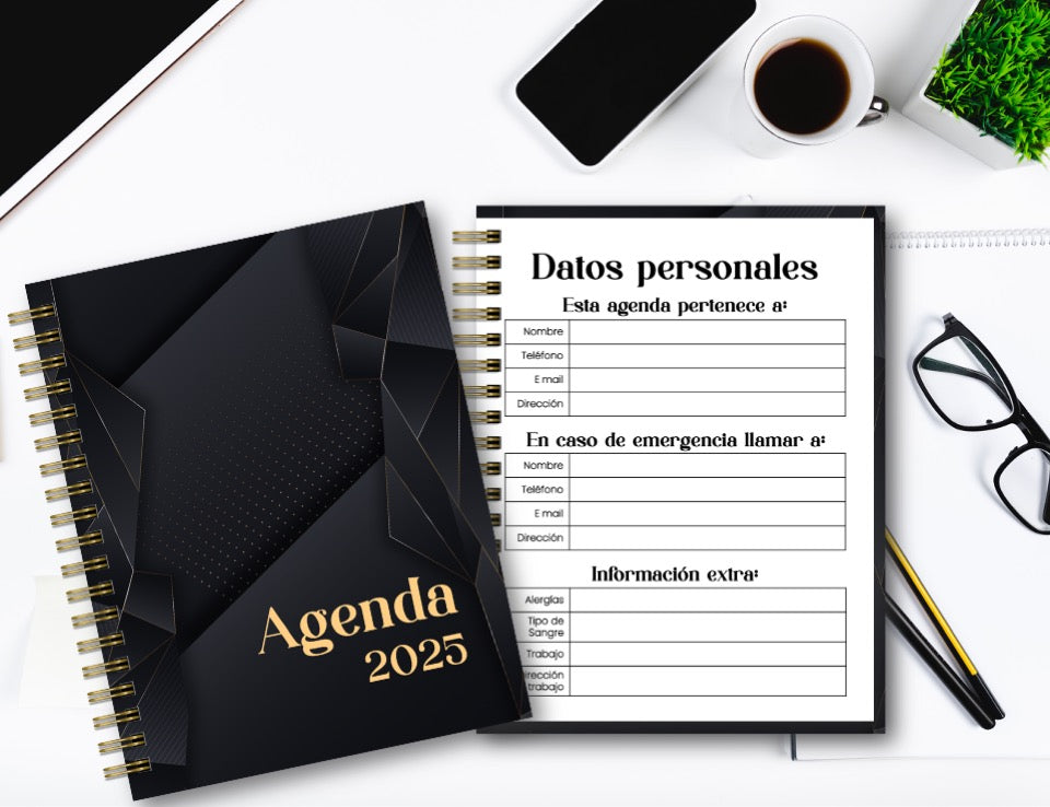 Agenda Executive 1 S.