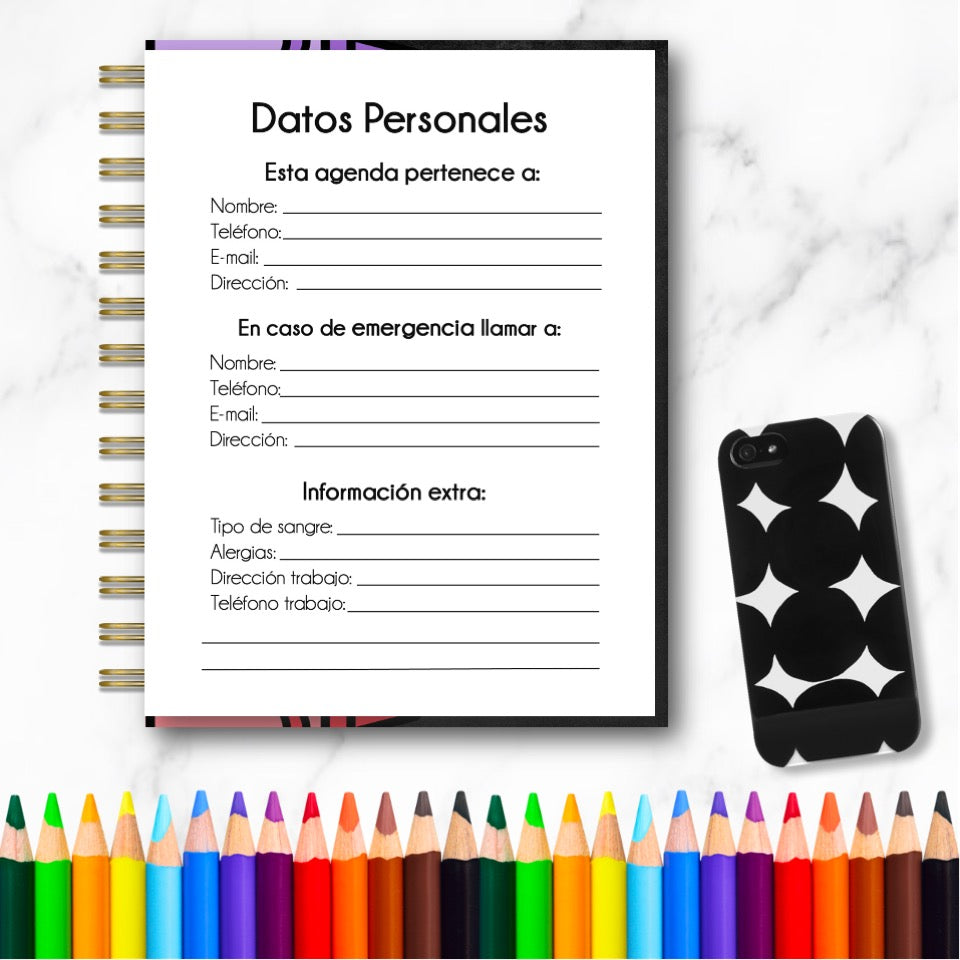 Doc. Mini Agenda Docente - Ejecutiva