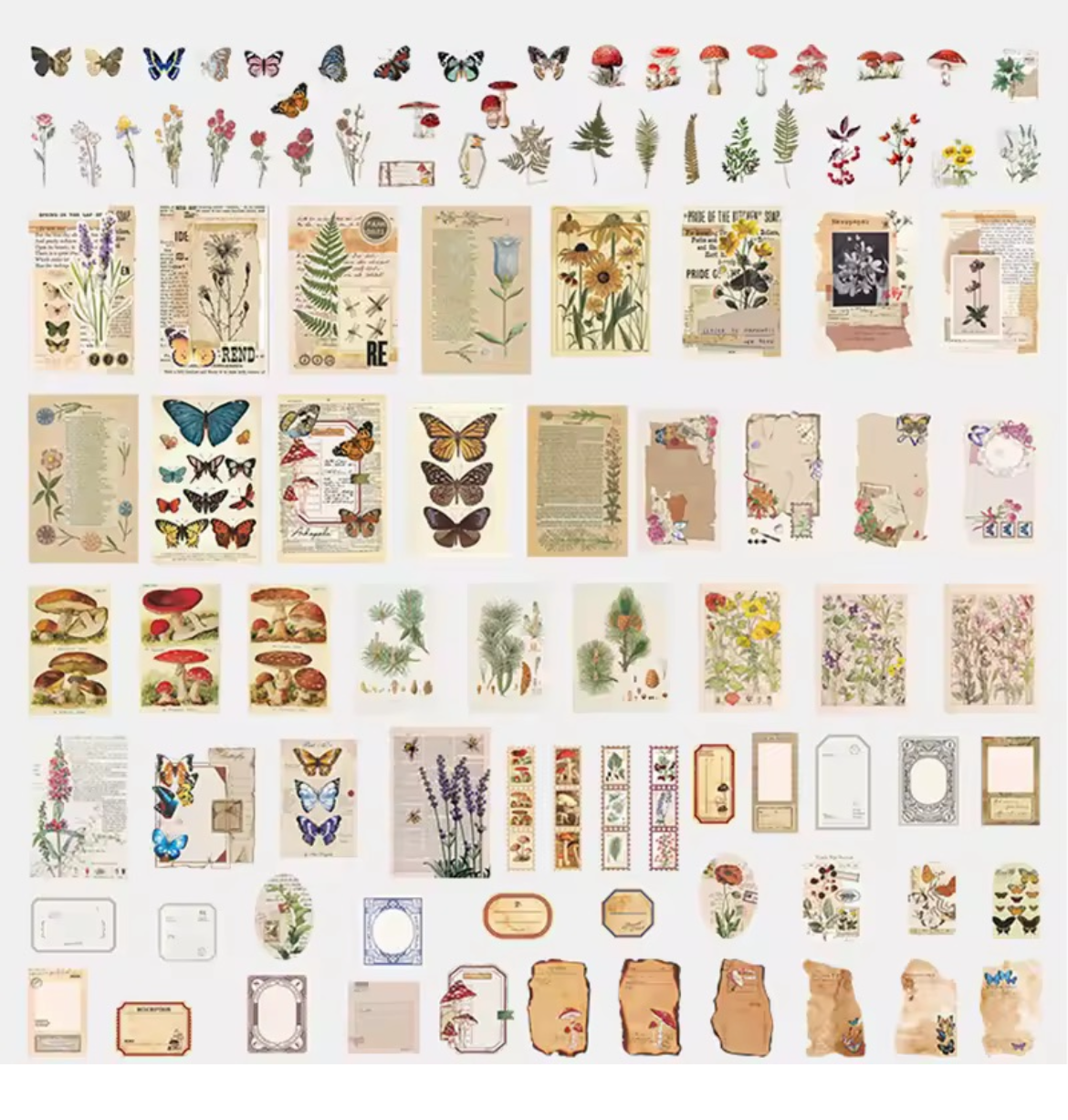 St. Set Scrapbook "Deco Paper"