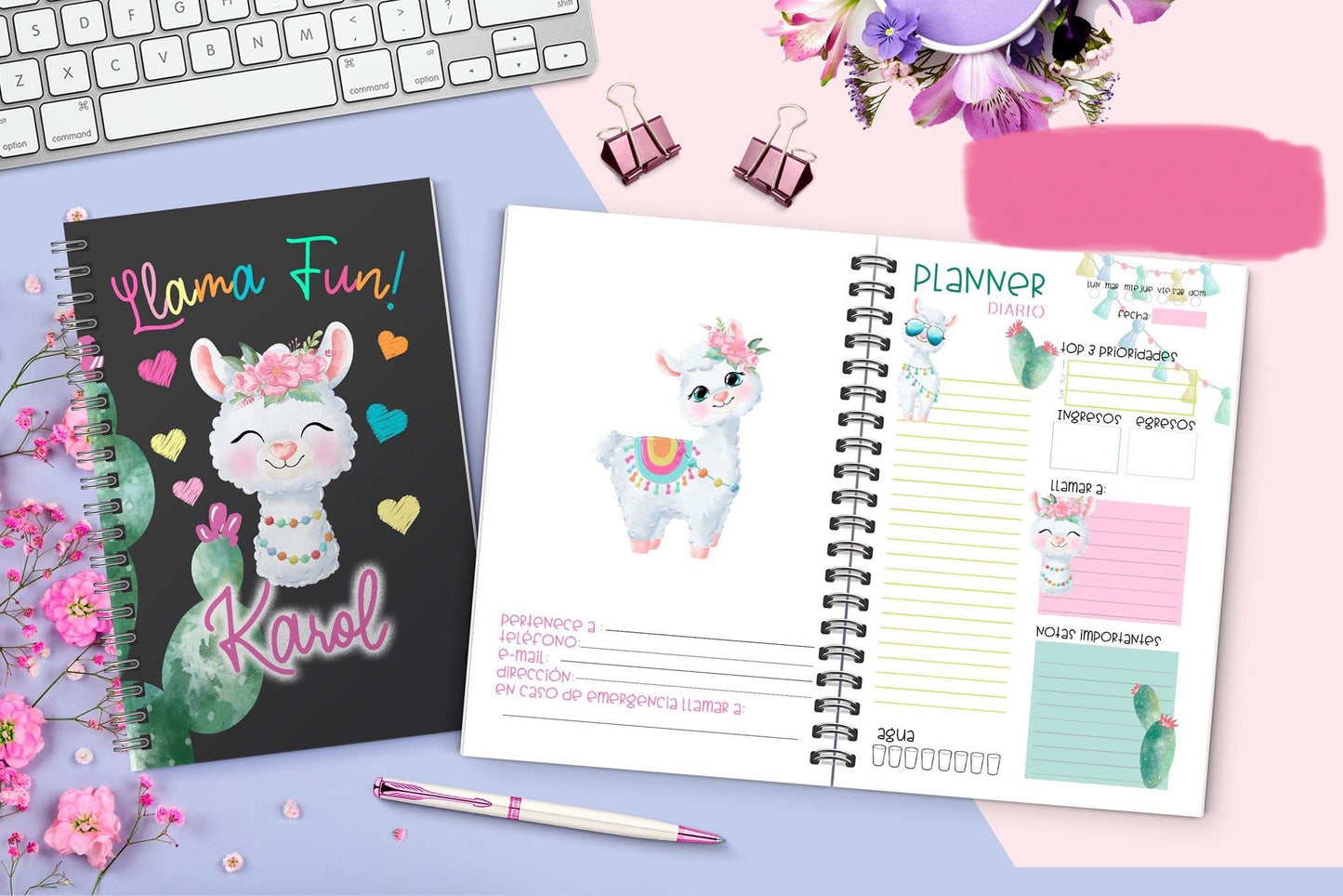 Planner Llama