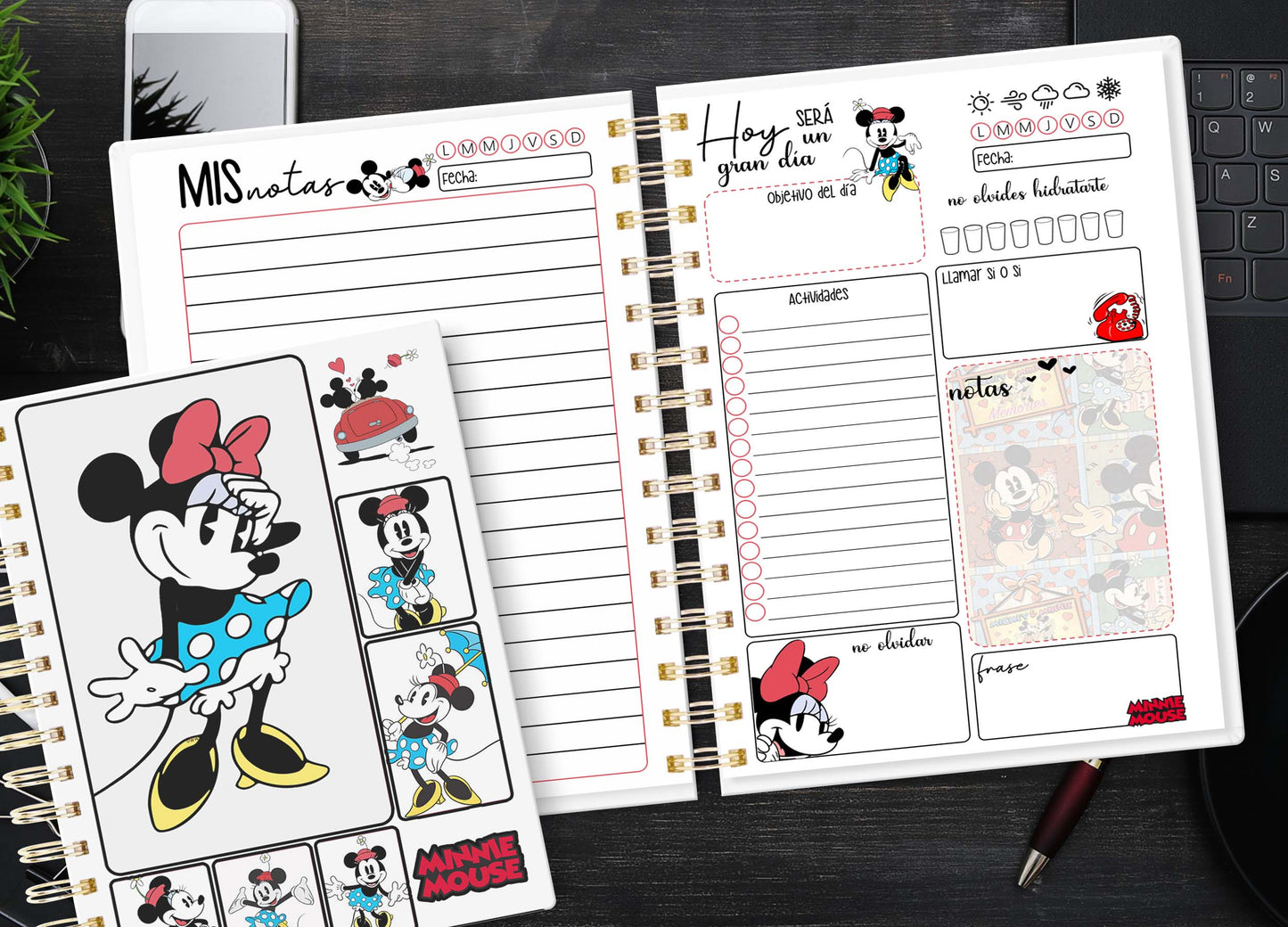 Planner Mickey & Minnie