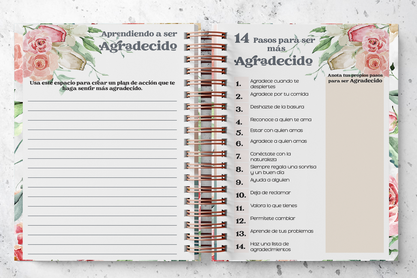 Diario de Gratitud