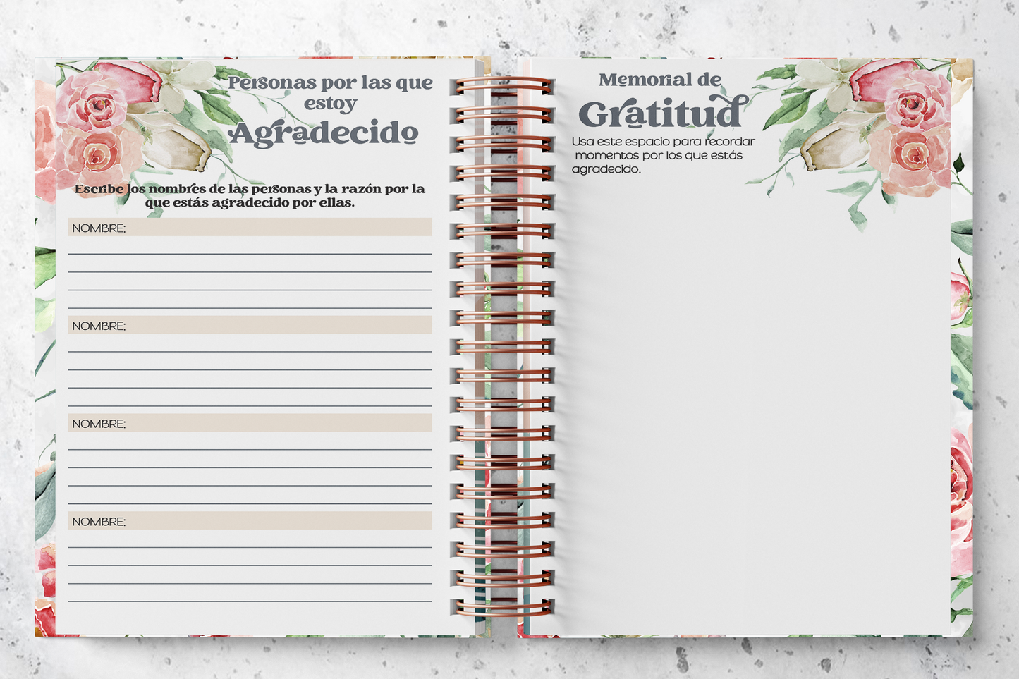 Diario de Gratitud