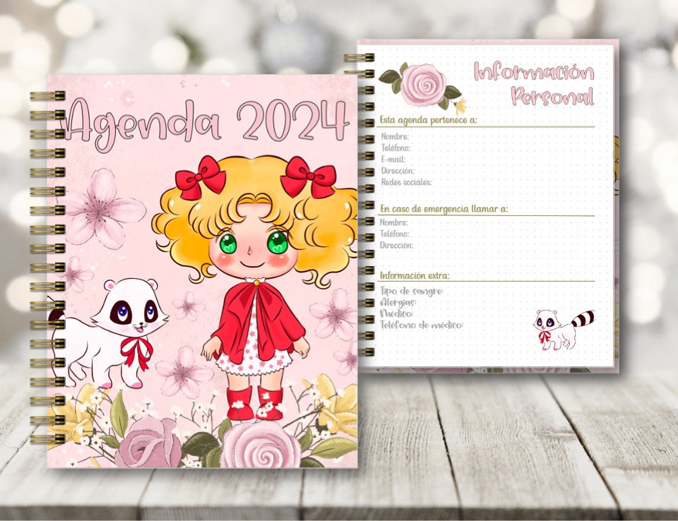 Agenda Candy Candy S.