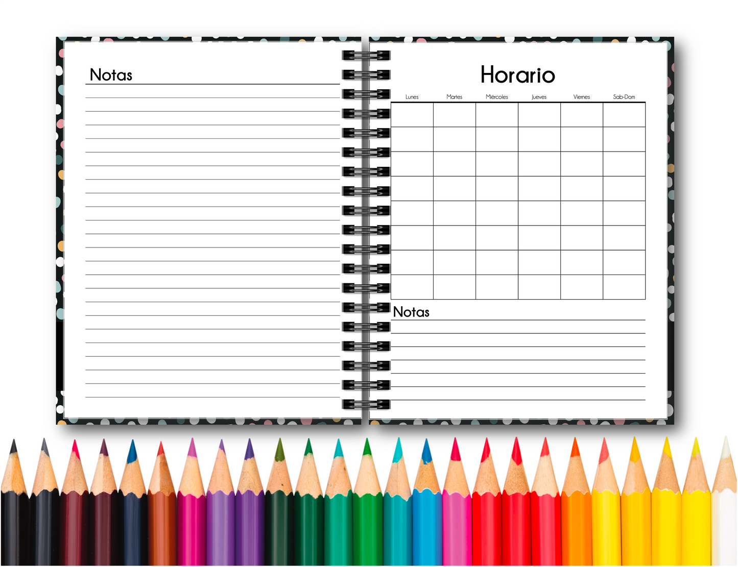 Doc. Agenda Docente - Ejecutiva