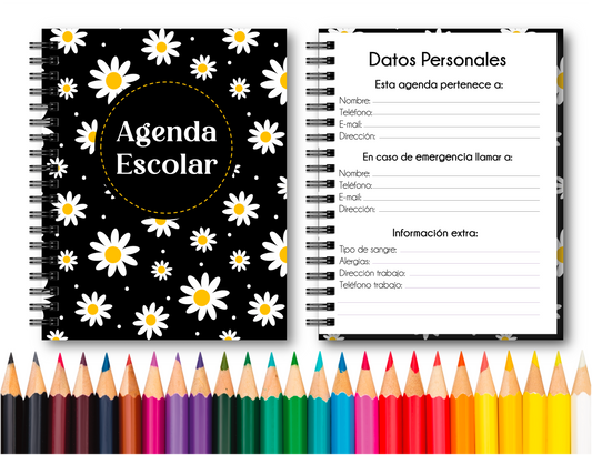 Doc. Agenda Docente - Ejecutiva