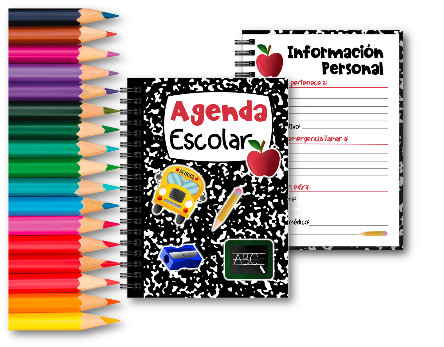 Doc. Agenda Docente - Bus