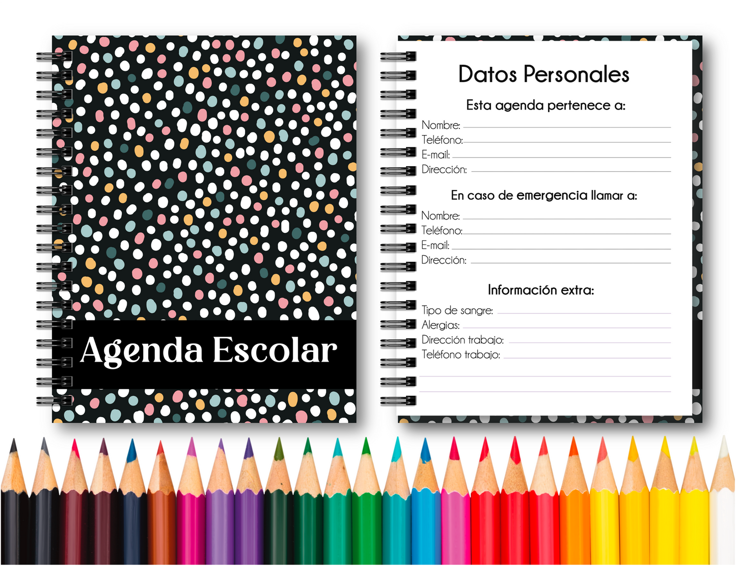 Doc. Agenda Docente - Ejecutiva