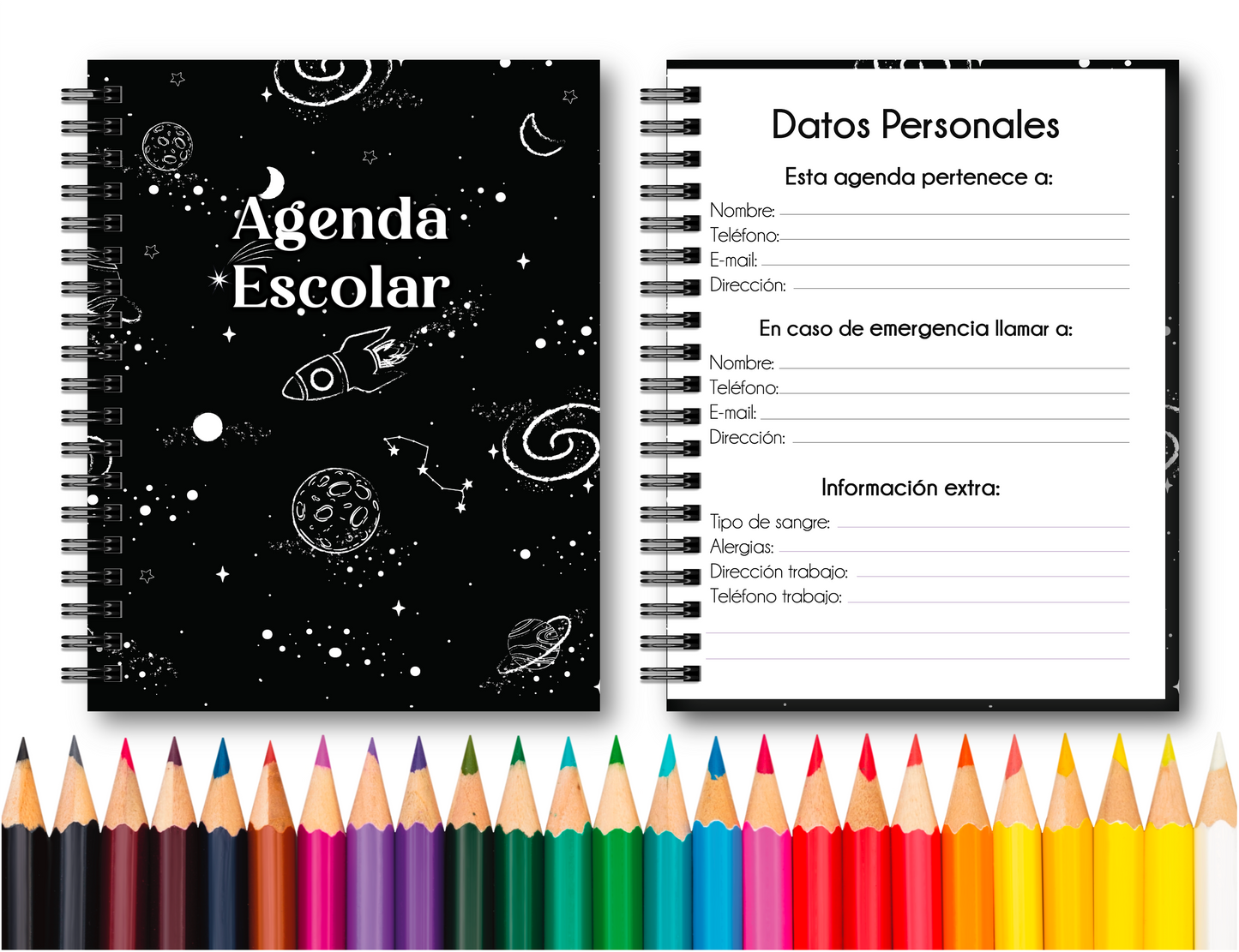 Doc. Agenda Docente - Ejecutiva