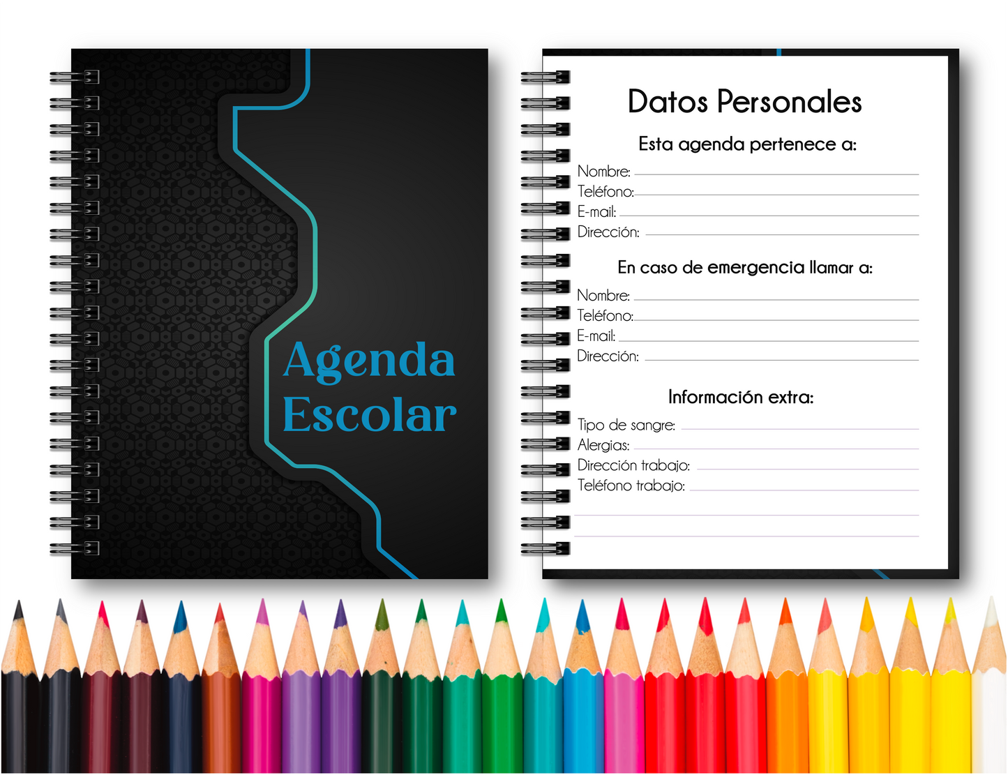 Doc. Agenda Docente - Ejecutiva