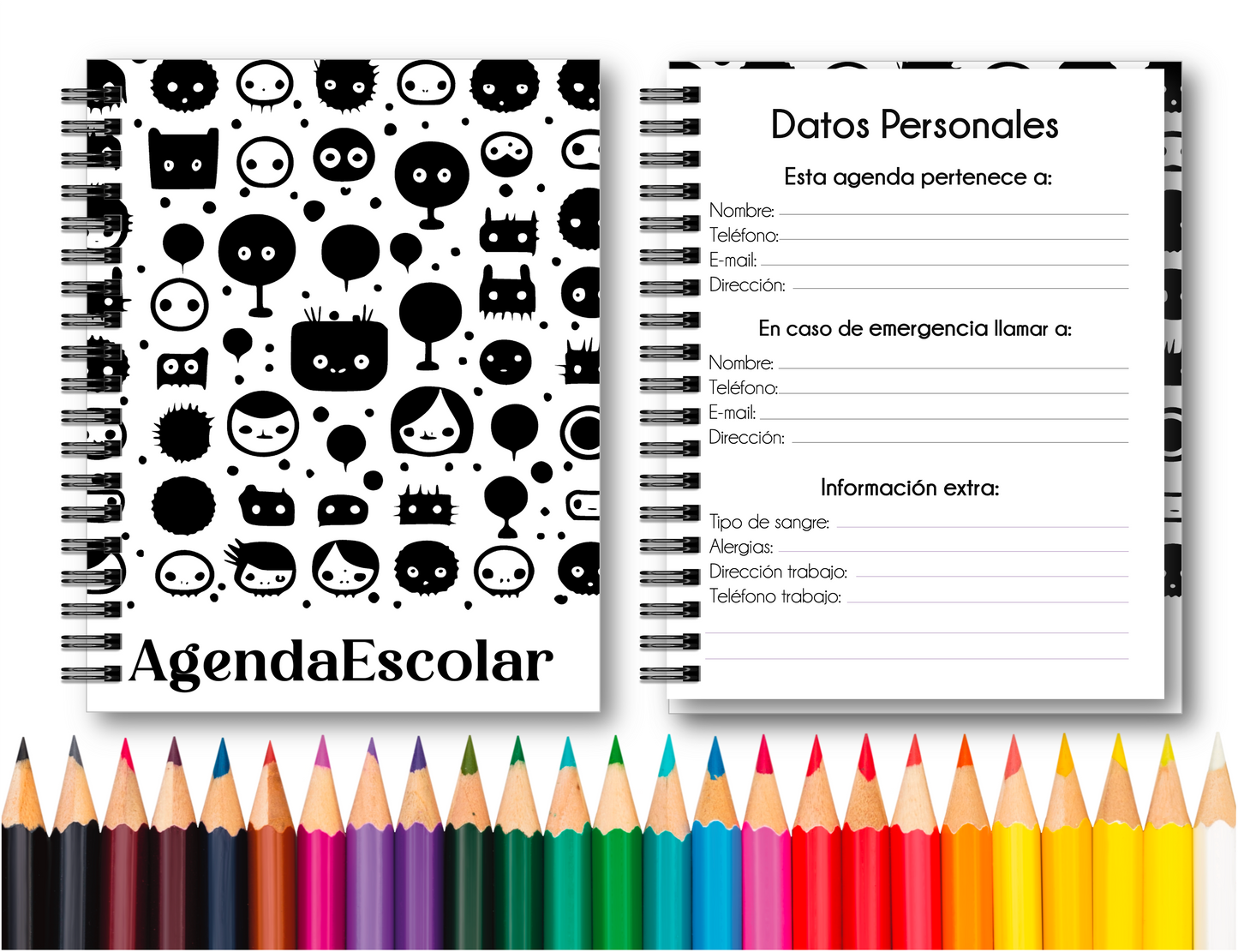 Doc. Agenda Docente - Ejecutiva