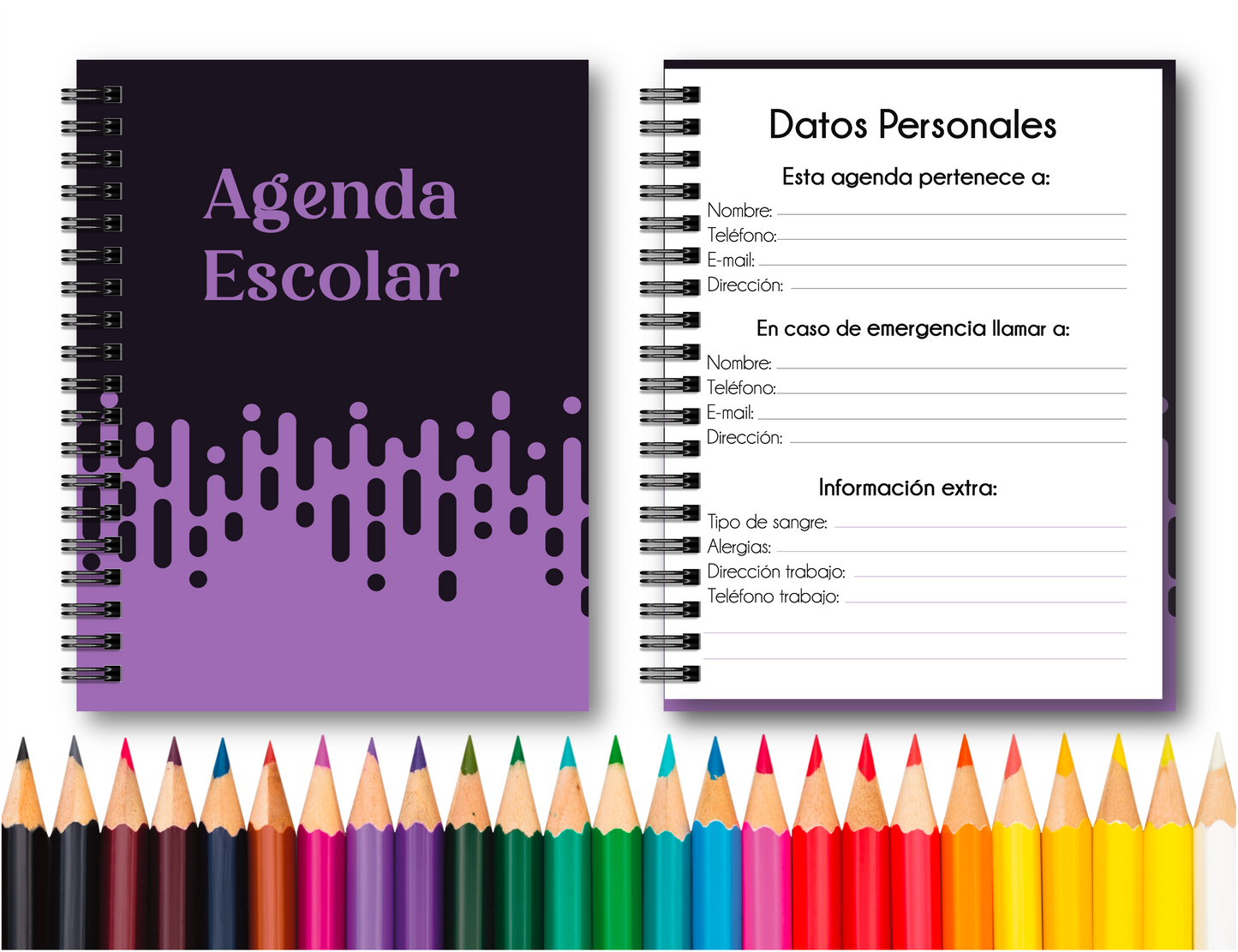 Doc. Agenda Docente - Ejecutiva