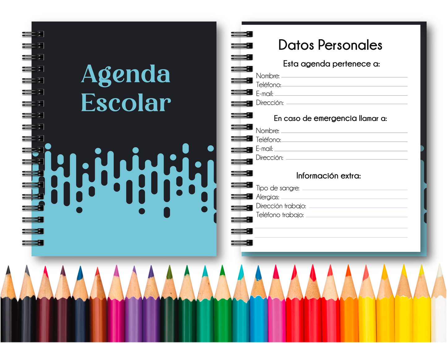 Doc. Agenda Docente - Ejecutiva