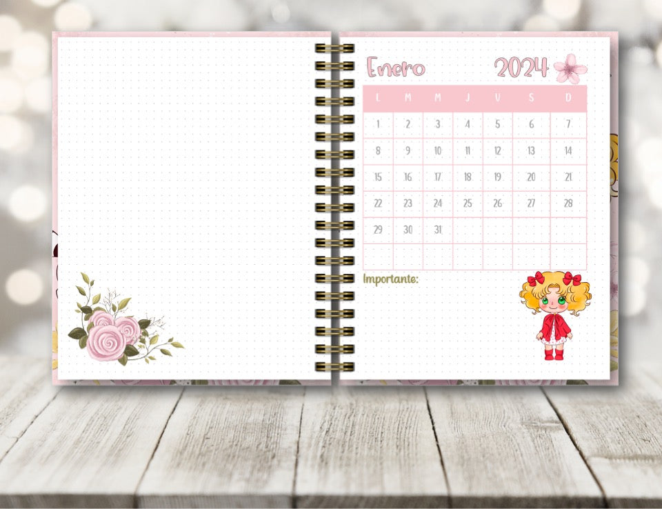 Agenda Candy Candy S.