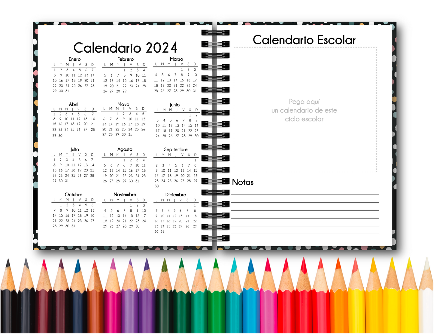 Doc. Agenda Docente - Ejecutiva